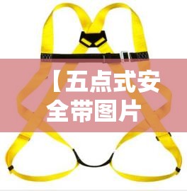 【五点式安全带图片,三点式安全带和五点式安全带图片】 【五点式安全带图片,三点式安全带和五点式安全带图片】