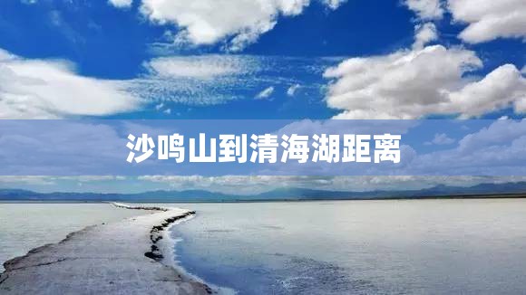 【五点式安全带图片,三点式安全带和五点式安全带图片】