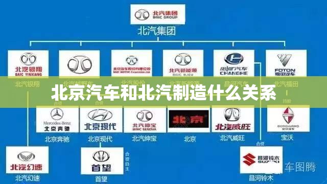【五点式安全带图片,三点式安全带和五点式安全带图片】