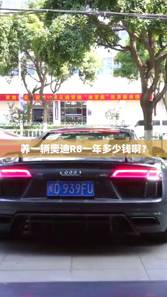 养一辆奥迪R8一年多少钱啊？