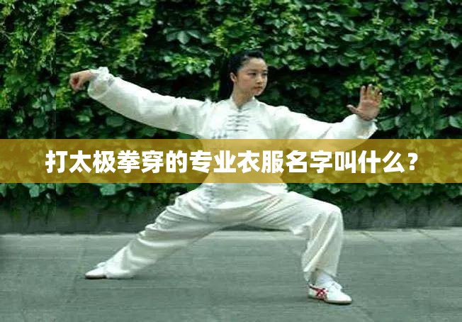打太极拳穿的专业衣服名字叫什么? 打太极拳穿的专业衣服名字叫什么?