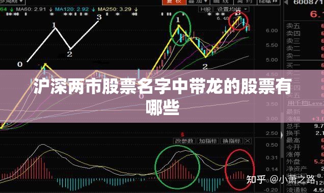 2022纽约车展(2021纽约车展)
