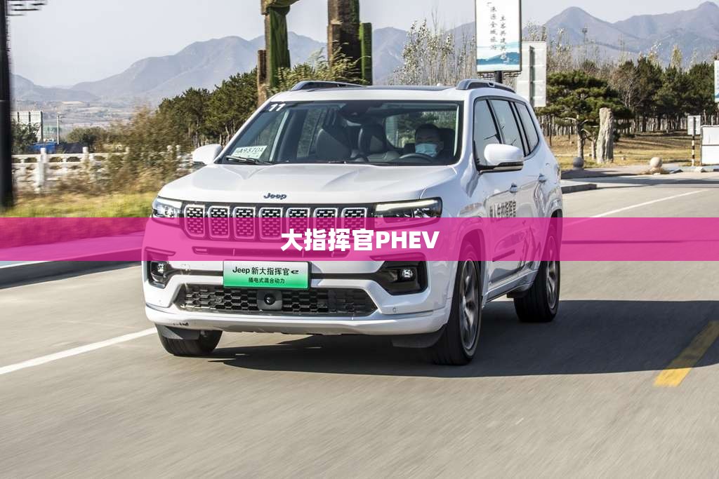 现在国内的电源模块行业发展前景如何？