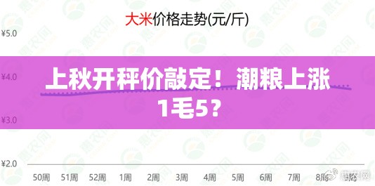 上秋开秤价敲定！潮粮上涨1毛5？