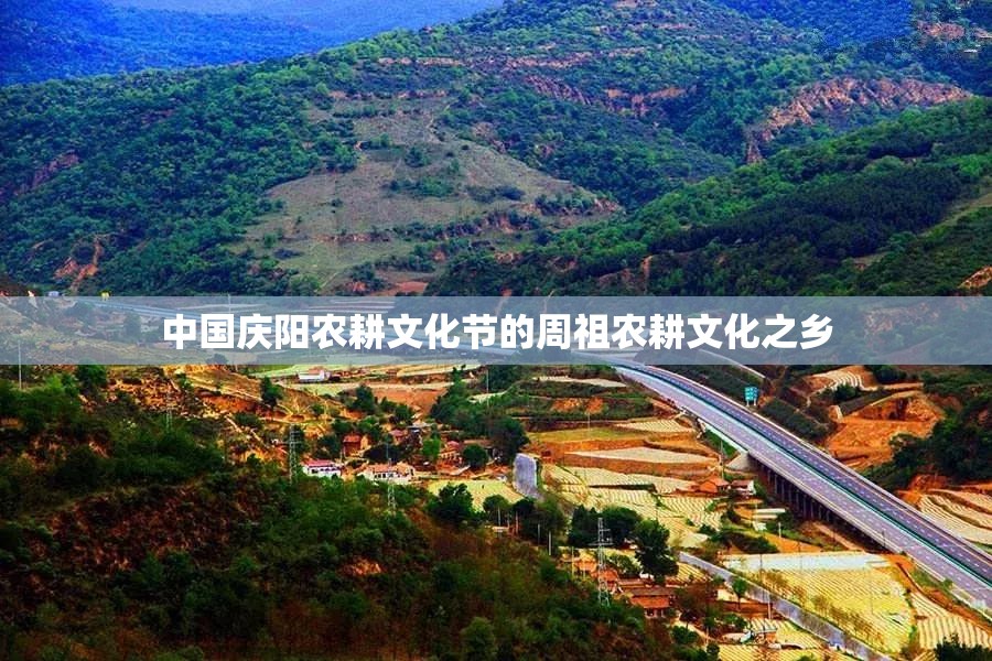 2021年河南暴雨(2021年河南暴雨中的救命文档)