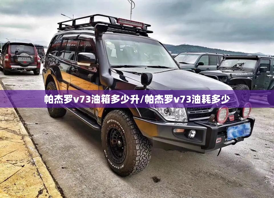 帕杰罗v73油箱多少升/帕杰罗v73油耗多少