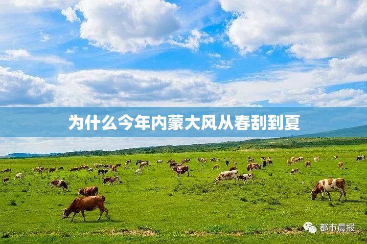 【沃尔沃运动版,沃尔沃60s】