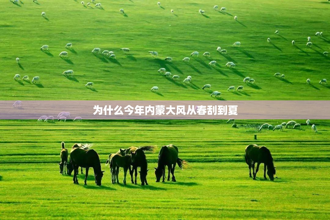 为什么今年内蒙大风从春刮到夏