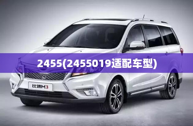 2455(2455019适配车型)