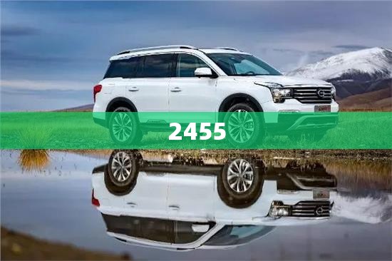 2455(2455019适配车型)