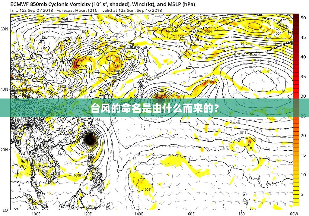 台风的命名是由什么而来的？