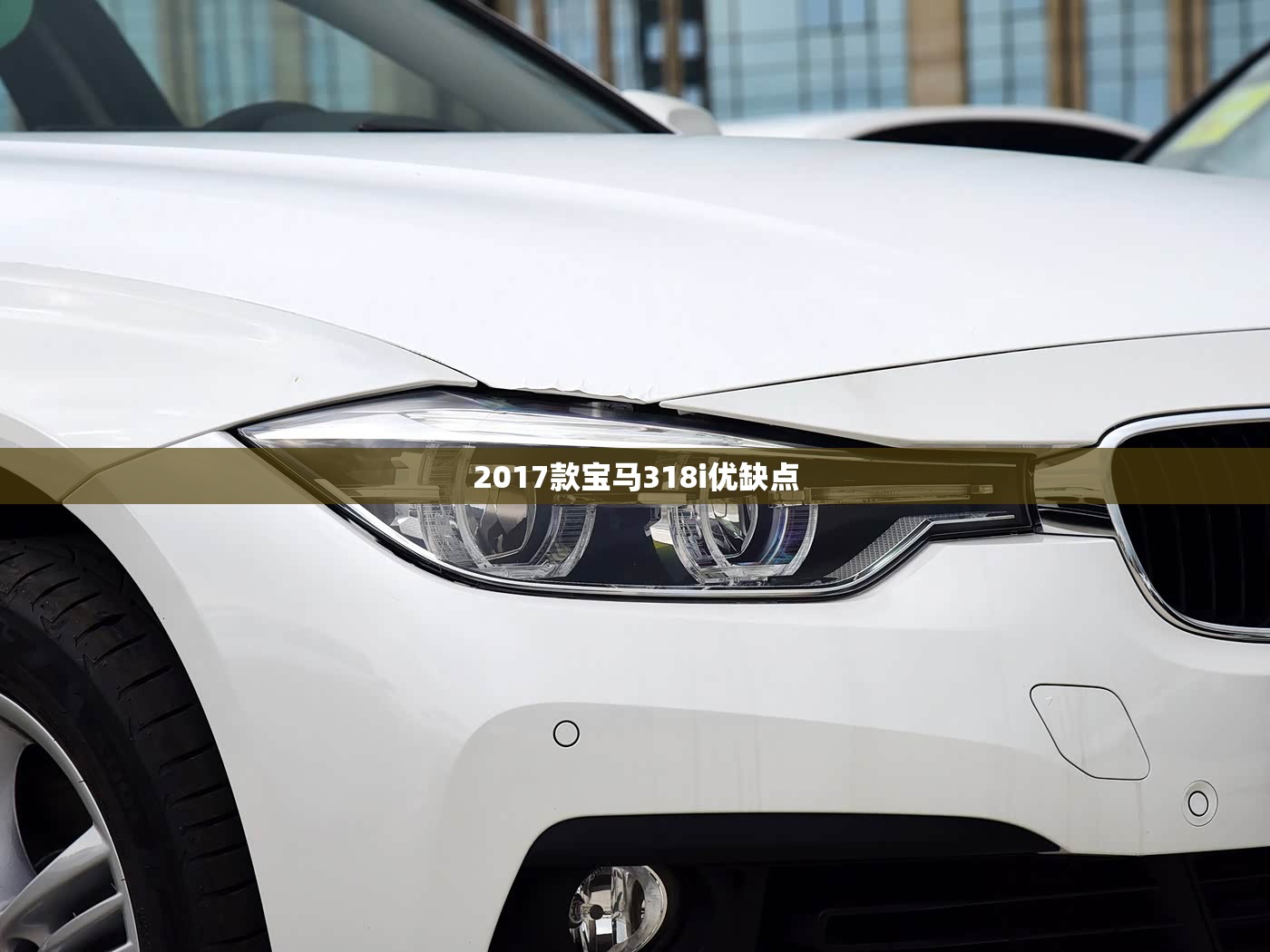 【2017款宝马318i优缺点,2017款宝马318i配置】