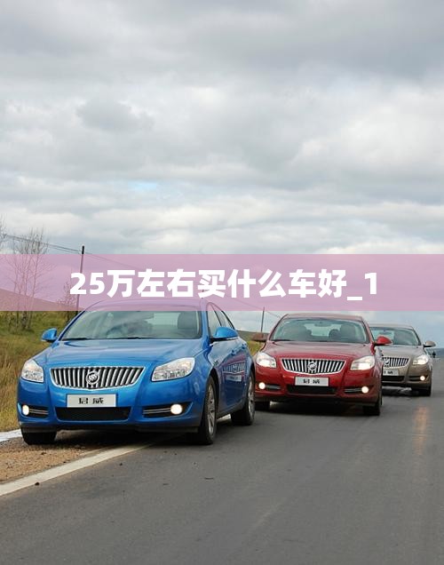 【2017款宝马318i优缺点,2017款宝马318i配置】