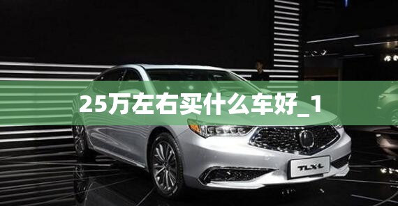 25万左右买什么车好_1