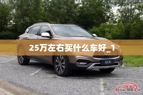 25万左右买什么车好_1