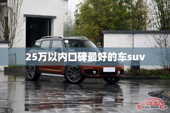 25万左右买什么车好_1