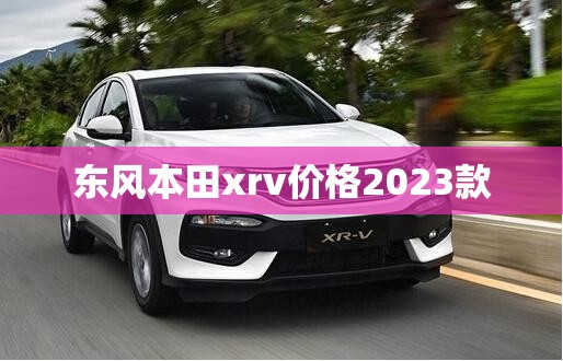 polo两厢车图片(2厢polo)
