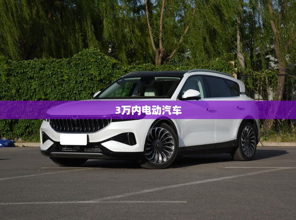 3万内电动汽车 3万内电动汽车