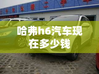 哈弗h6汽车现在多少钱 哈弗h6汽车现在多少钱