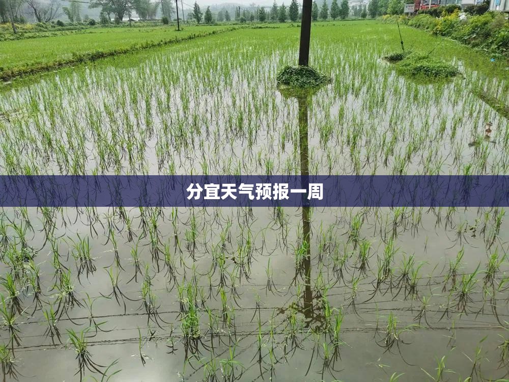下花桥镇最新/下花桥镇最新领导名单