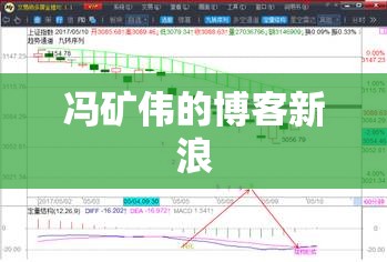 冯矿伟的博客新浪