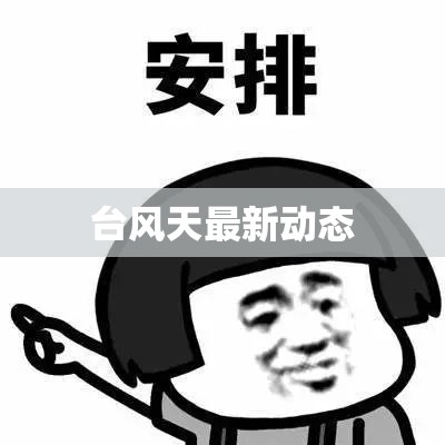 台风天最新动态(台风天气预报最新)
