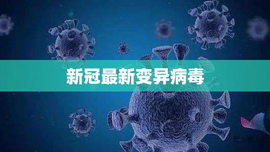 如何从杭州去乌镇最方便？
