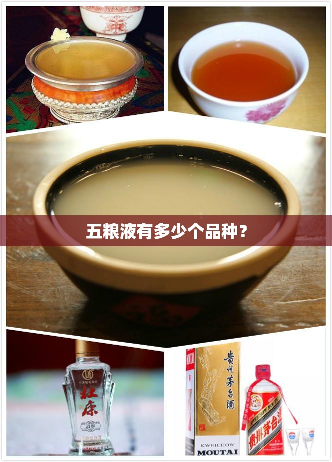 五粮液有多少个品种？