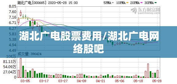 湖北广电股票费用/湖北广电网络股吧