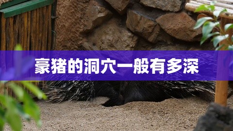 福建宁德附近旅游攻略宁德旅游攻略景点必看