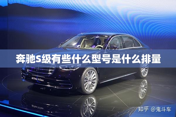 奔驰S级有些什么型号是什么排量 奔驰S级有些什么型号是什么排量