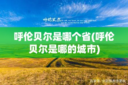呼伦贝尔是哪个省(呼伦贝尔是哪的城市)