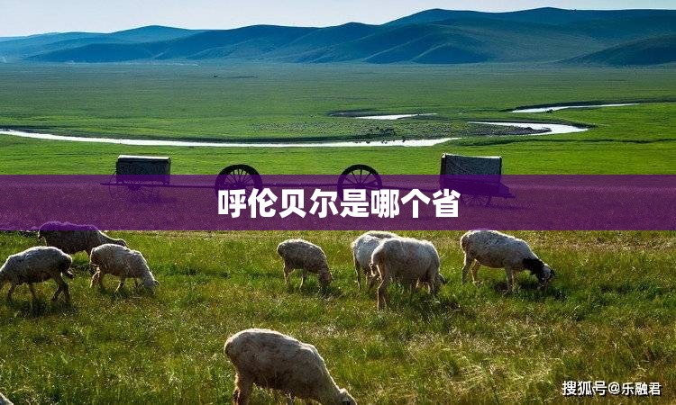 【300759股票,康龙化成300759股票】