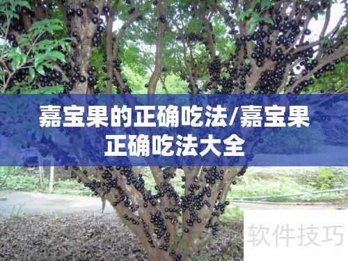 恩施旅游必须去的