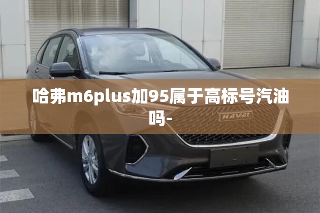 哈弗m6plus加95属于高标号汽油吗-
