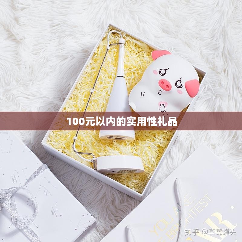100元以内的实用性礼品(100元左右的实用礼品)