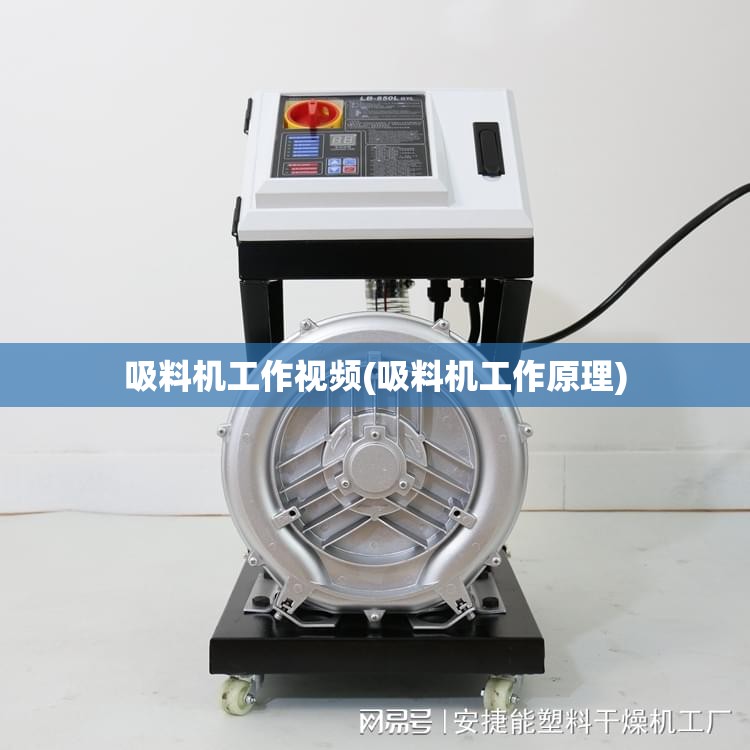青州天气预报24小时详情(青州天气预报查询15天)