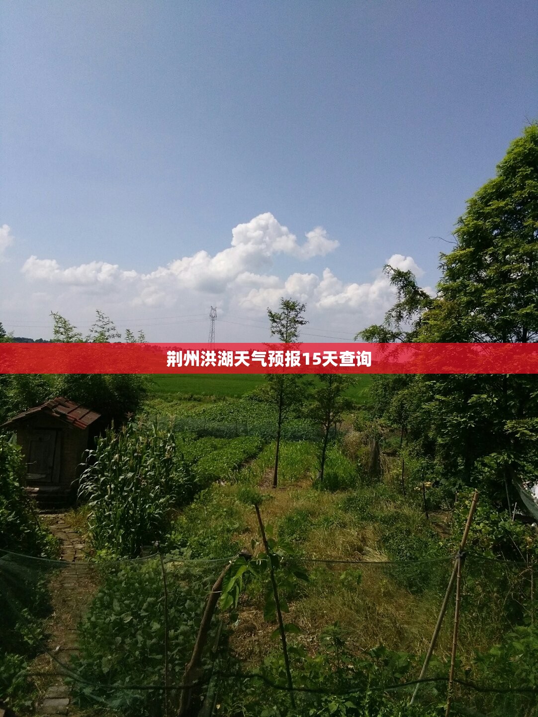 荆州洪湖天气预报15天查询 荆州洪湖天气预报15天查询