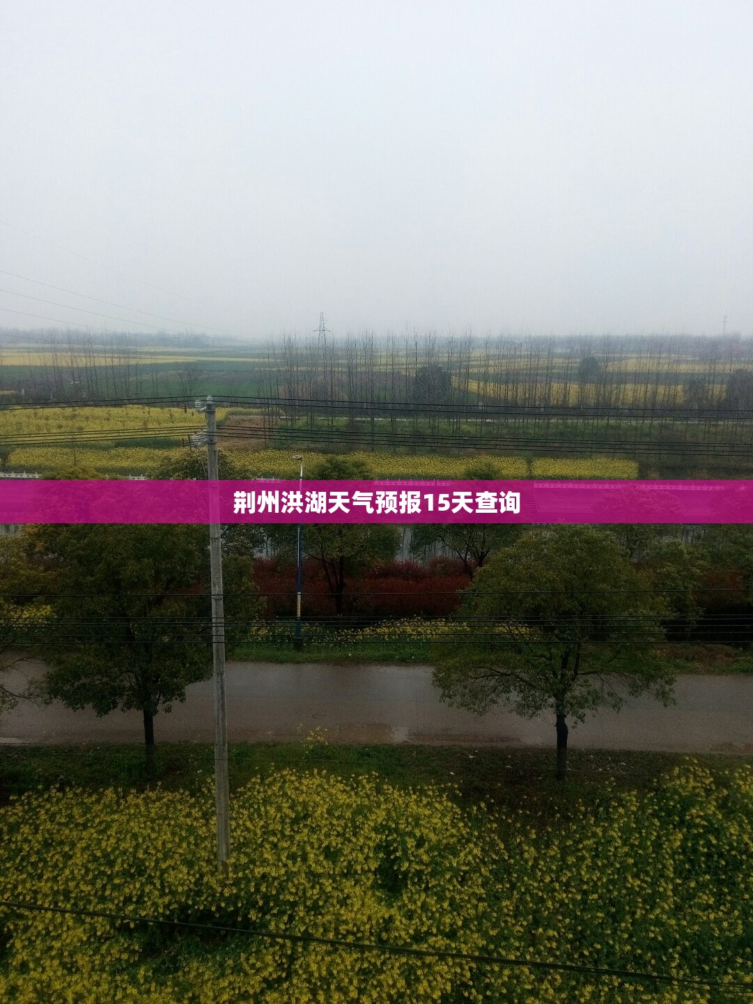 荆州洪湖天气预报15天查询 荆州洪湖天气预报15天查询