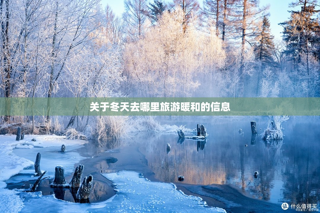 关于冬天去哪里旅游暖和的信息(冬天去哪旅游合适天气暖和)