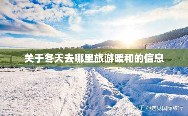 关于冬天去哪里旅游暖和的信息(冬天去哪旅游合适天气暖和)