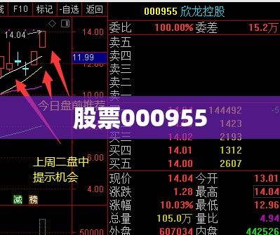 股票000955/股票000937