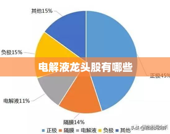 电解液龙头股有哪些 电解液龙头股有哪些