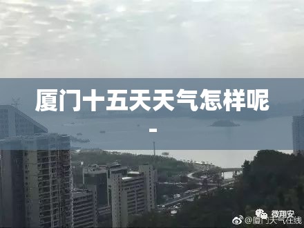 厦门十五天天气怎样呢-