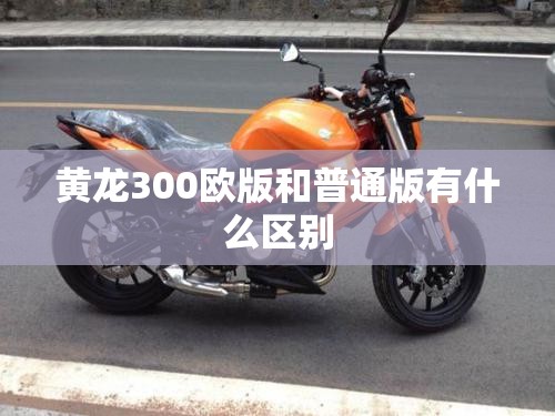 电解液龙头股有哪些