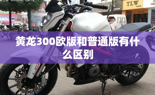 黄龙300欧版和普通版有什么区别 黄龙300欧版和普通版有什么区别