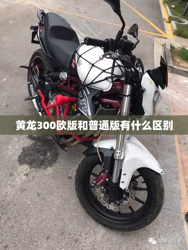 黄龙300欧版和普通版有什么区别 黄龙300欧版和普通版有什么区别