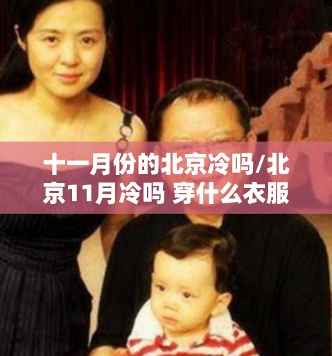 今日铝费用最新行情走势(今日铝费用最新行情走势图)