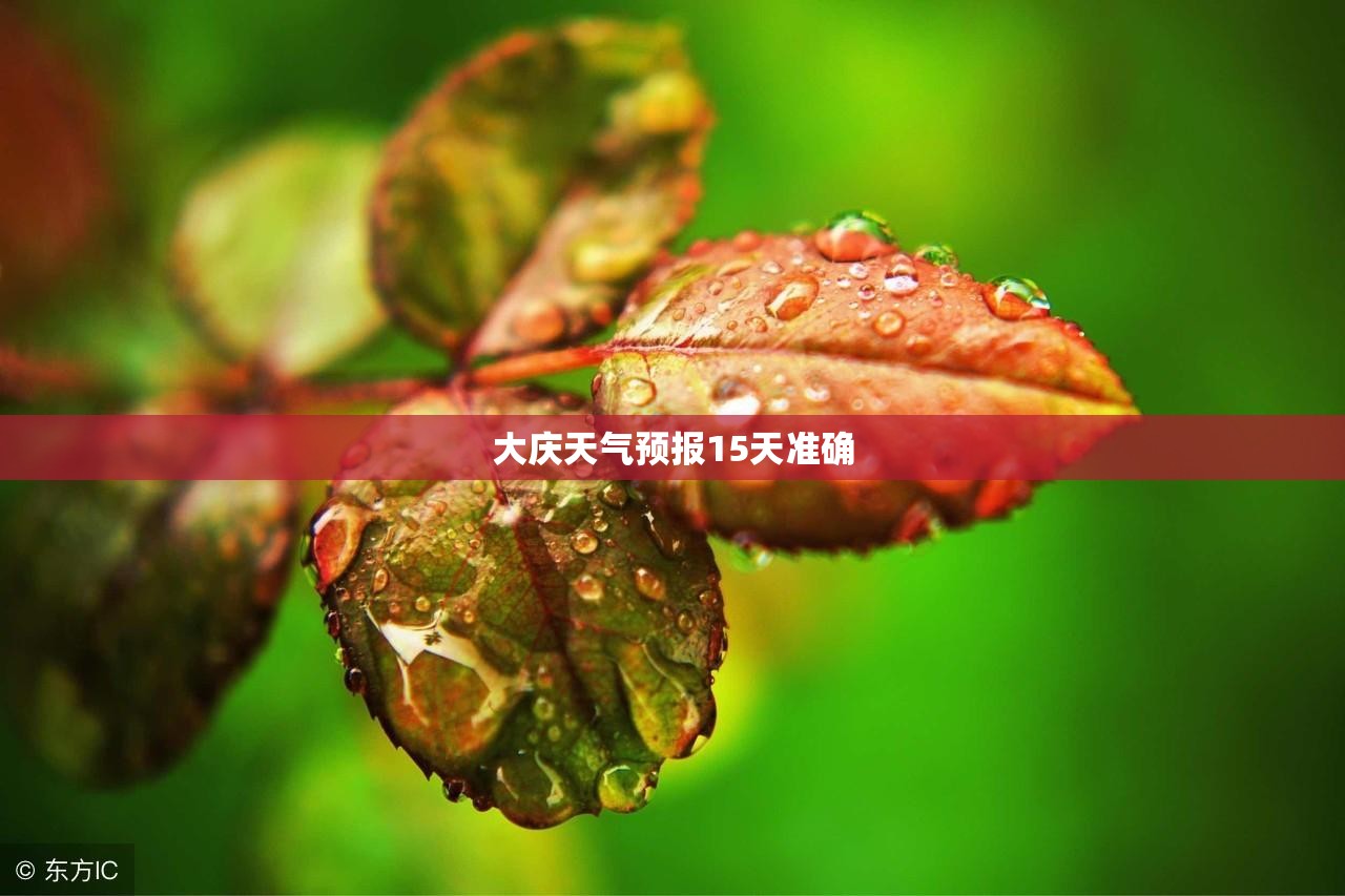 【大庆天气预报15天准确,大庆天气预报15天准确 一个月】 【大庆天气预报15天准确,大庆天气预报15天准确 一个月】