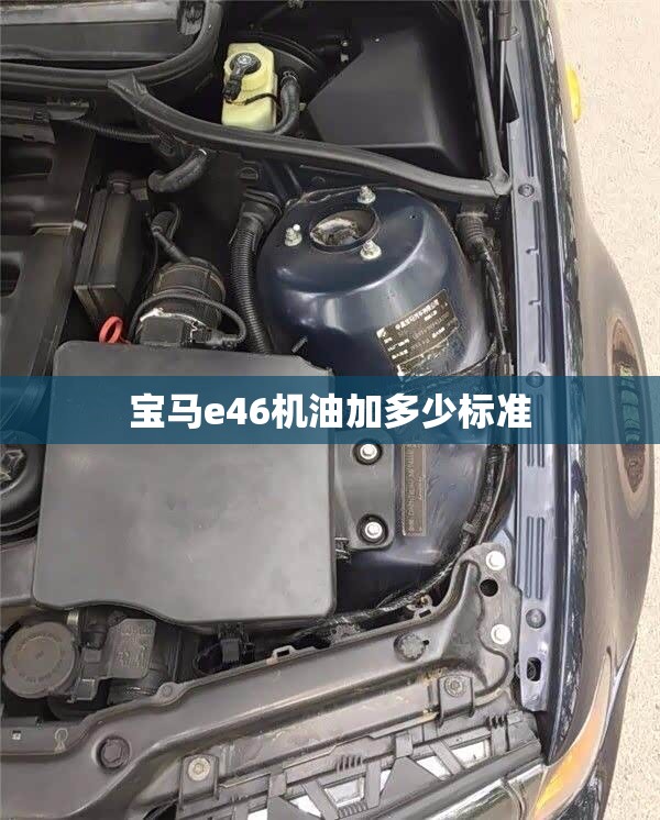 叠螺压滤机生产厂家